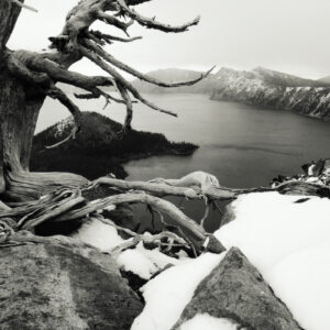 自然化学と技術の分野特別講義